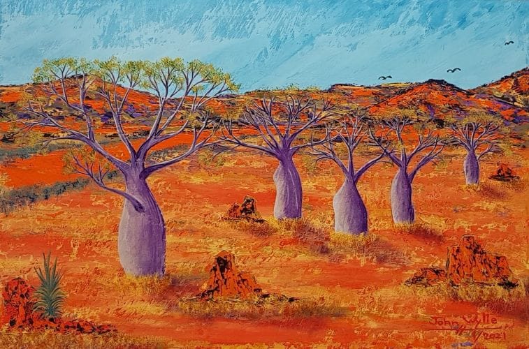 "The Dancing Boabs" - of the North West
