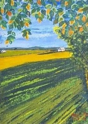 "Fields of Light & Shade"