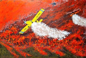 "Flying Environmental Specialists in the Sky"